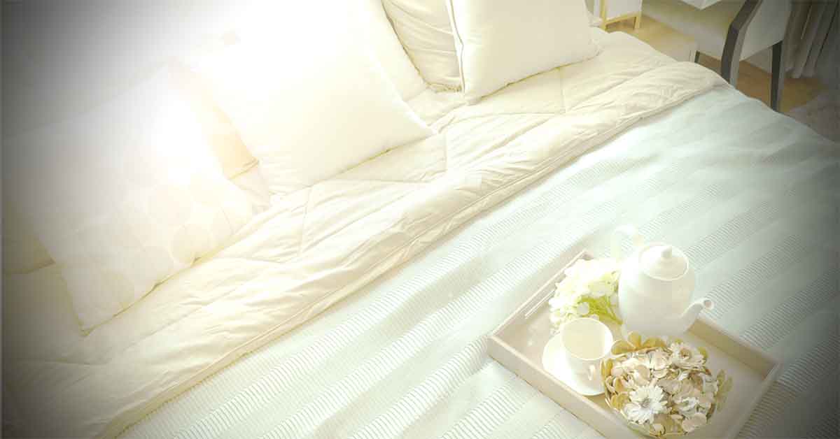 Benefits of Bamboo Pillows (9 Reasons to Consider Them) Pillows+Place